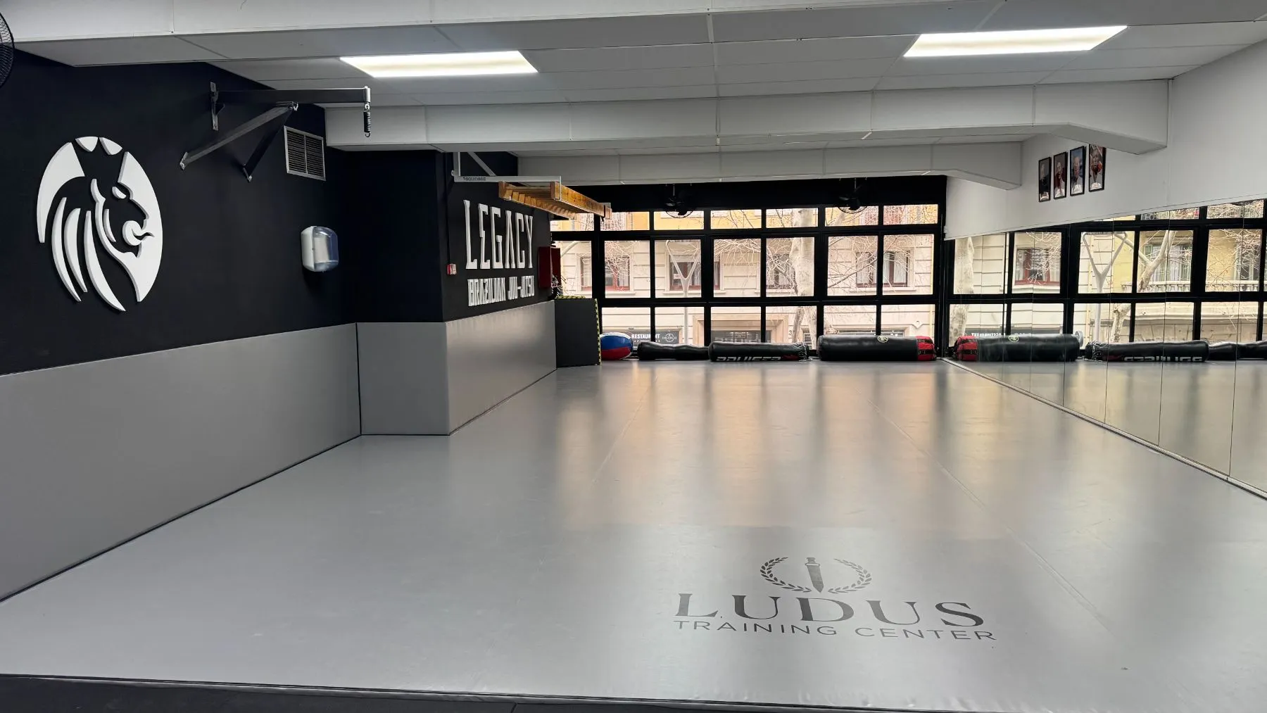 Tatami de Legacy Brazilian Jiu-Jitsu con el león y el logo de Ludus en el suelo